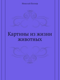 Николай петрович вагнер фея фантаста презентация 4 класс