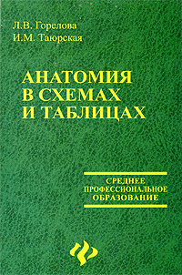 Анатомия в схемах и таблицах горелова и таюрская