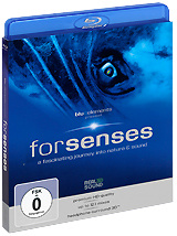 для чувств 2 forsenses ii 2011 картинку. Elements blue (элементс блю)-100мл муж т. Blue elements. Elem синий. голубые элементы дизайна.