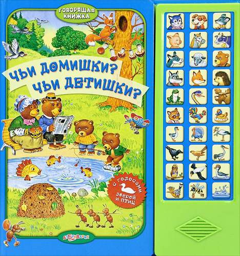 Недостатки проекта говорящая книга