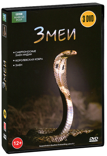 Ввс змеи. Ввс змеи. Ввс змеи. Pantherophis obsoletus. Ввс змеи.