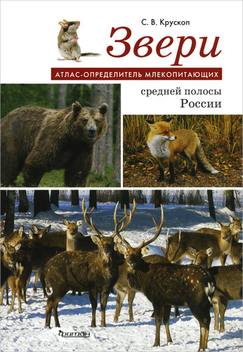 Книга: "Звери средней полосы. Демонстрационный материал для фронтальных занятий"