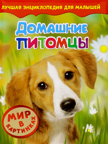 Проект окружающий мир питомец