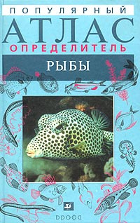 Популярный атлас-определитель. Рыбы | Васильева Екатерина Денисовна ...