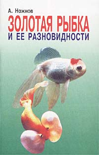 Золотая рыбка и ее разновидности - купить с доставкой по выгодным ценам ...