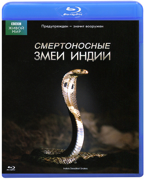Змеи двд ввс. Змеи от vvs. Ввс змей. Bbc змей dvd. Bbc dvd.