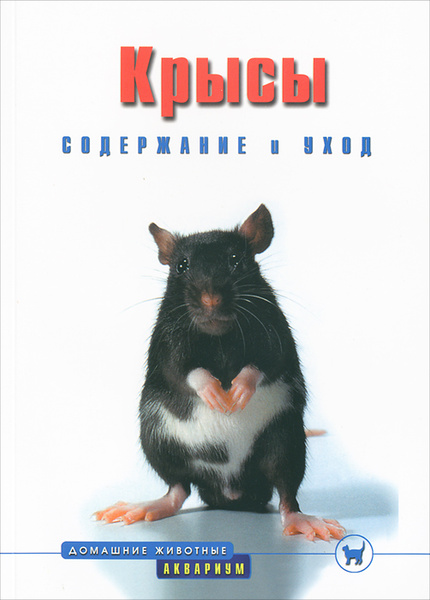 Крысы. Содержание и уход - купить с доставкой по выгодным ценам в ...