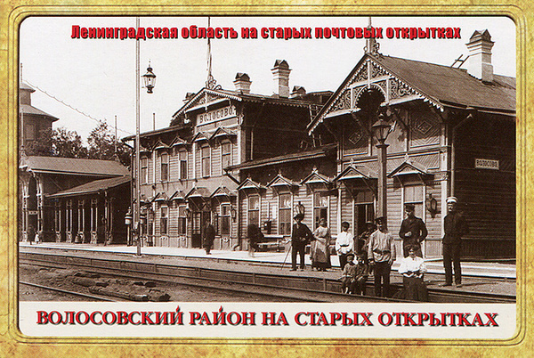 Волосовский район ленинградской области фото