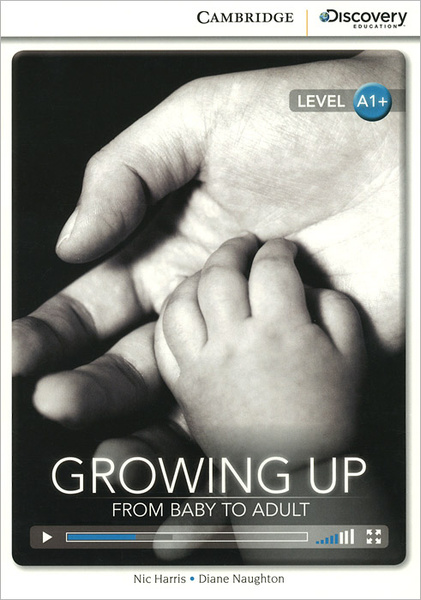 Begin to grow. Begin to grow