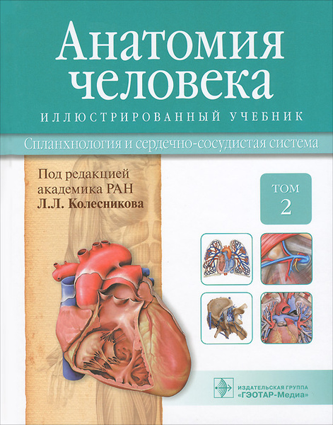 Анатомия человека. Учебник в 3-х томах. Том 2. Спланхнология и сердечно ...