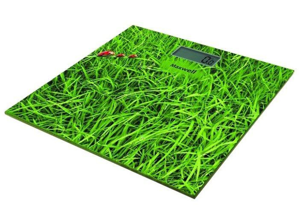 Напольные весы Maxwell Maxwell MW-2659 напольные весы, зеленый купить ...