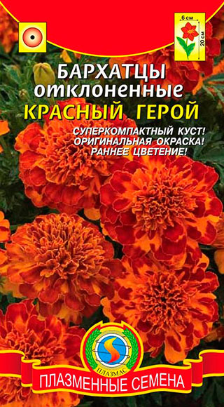 Бархатцы маленький герой фото и описание Бархатцы Плазмас Бархатцы отклоненные Красный герой,15 шт., 6 г - купить по выго
