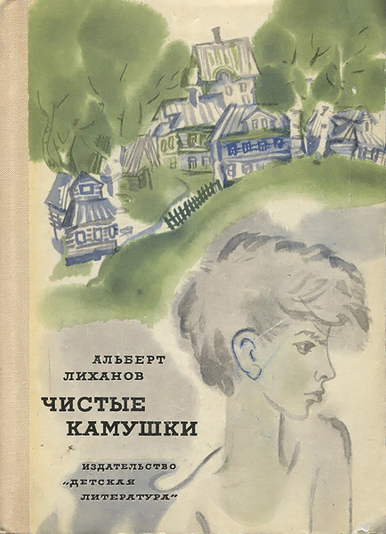 Чистые камушки – авторское краткое содержание рассказа …