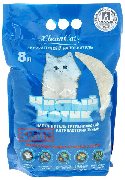 Чистый котик