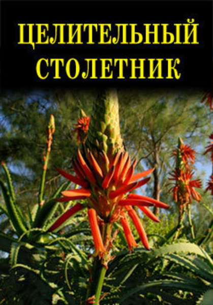 Целительный столетник - купить с доставкой по выгодным ценам в интернет ...