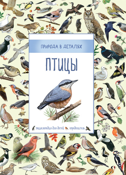 Птицы и книги фото