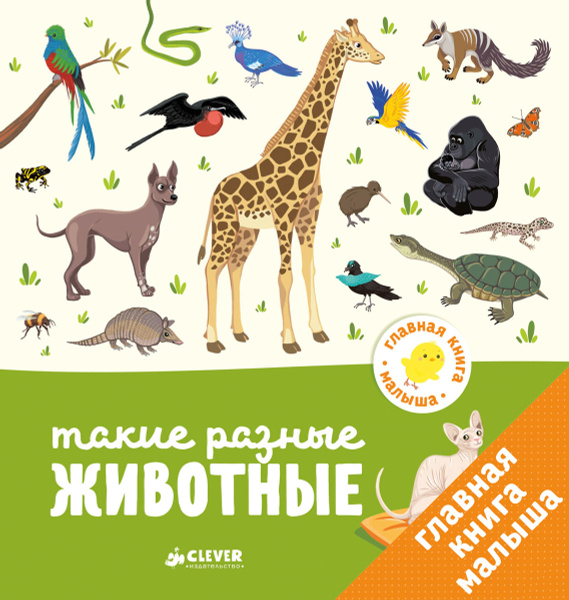 Картинки животных для детей книга