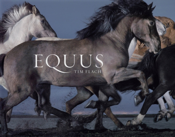 Equus | Flach Tim - купить с доставкой по выгодным ценам в интернет ...