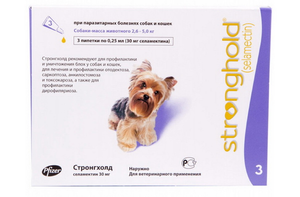 Стронгхолд для кошек