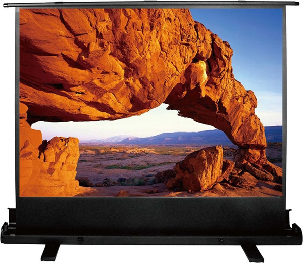 Экран Cactus FloorExpert, CS-PSFLE-120X90 - купить с доставкой по ...