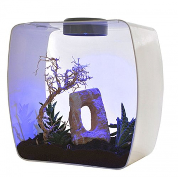 Террариум флорариум LUCKY REPTILE "Life Box", белый, 35х20х35см ...