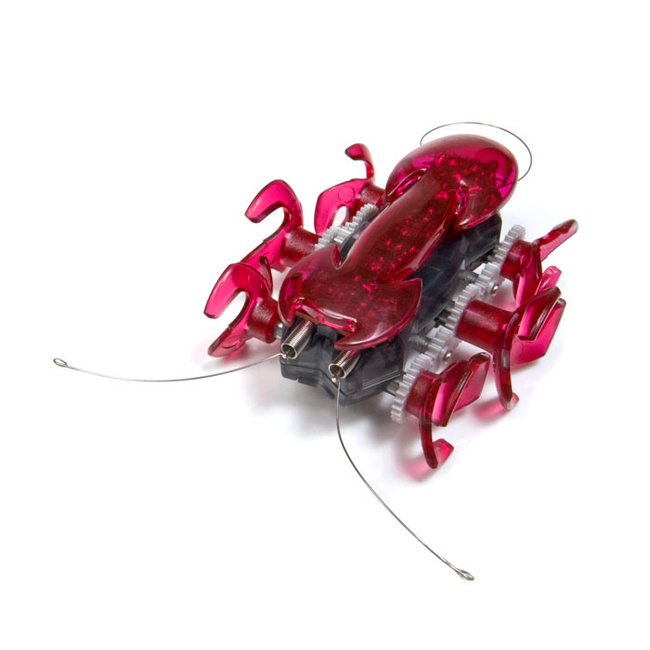 hexbug ant