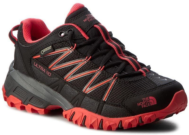 the north face 110 gtx