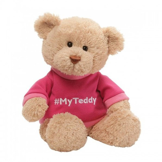 my teddy bear