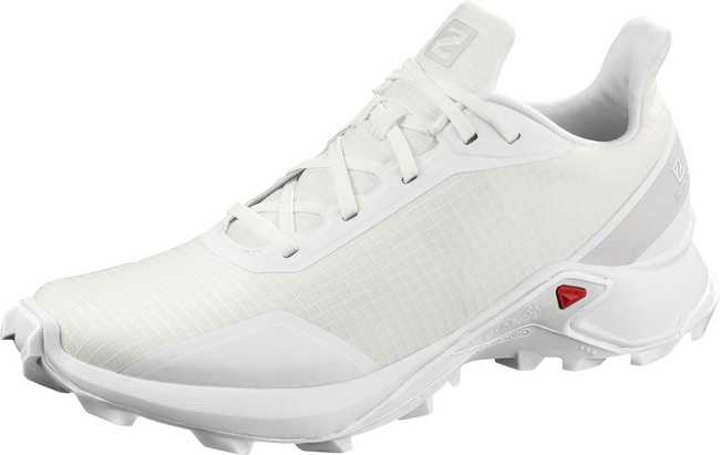 salomon alphacross w