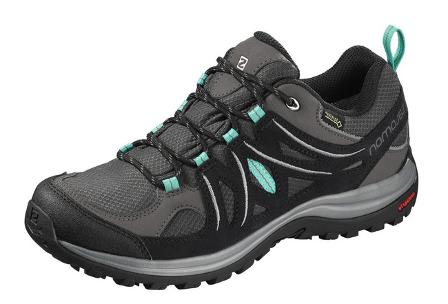 salomon ellipse 2 goretex