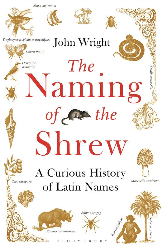 Latin names. Idioms Organiser. Naming.