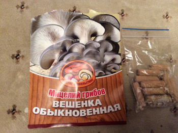 Мицелий Вешенки Купить В Интернет Магазине Озон