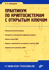 Практикум по криптосистемам с открытым ключом | Молдовян Николай Андреевич  #1