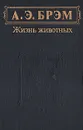 А. Э. Брэм. Жизнь животных. В трех томах. Том 2. Птицы - Брем Альфред Эдмунд