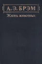 А. Э. Брэм. Жизнь животных. В трех томах. Том 3. Пресмыкающиеся. Земноводные. Рыбы. Беспозвоночные - Брем Альфред Эдмунд