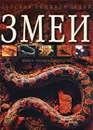 Змеи: Виды. Строение. Поведение - Барбара Тейлор