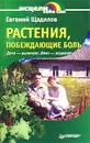 Растения, побеждающие боль. Дача - вылечит, дача - исцелит - Щадилов Евгений Владимирович
