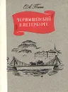 Чернышевский в Петербурге - Пини Олег Алексеевич