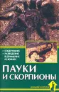 Пауки и скорпионы - А. Е. Чегодаев