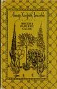 Восемь райских садов - Амир Хосров Дехлеви