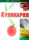 Кулинария. Весь мир продуктов питания - Кристиан Тойбнер