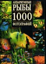 Аквариумные рыбы. 1000 фотографий - Мари-Поль и Кристиан Пьенуар