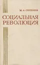 Социальная революция - М. А. Селезнев