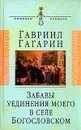 Забавы уединения моего в селе Богословском - Гавриил Гагарин