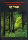 Иллюстрированная энциклопедия лесов - Ян Еник