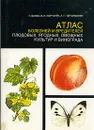 Атлас болезней и вредителей плодовых, ягодных, овощных культур и винограда - Г. Ванек, В. Н. Корчагин, Л. Г. Тер - Симонян