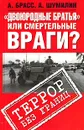 Двоюродные братья или смертельные враги? Террор без границ - Брасс Александр, Шумилин Александр