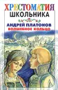 Волшебное кольцо - Андрей Платонов