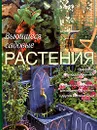 Вьющиеся садовые растения. Все необходимое для создания сада - Ричард Берд