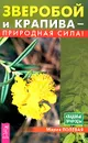Зверобой и крапива - природная сила! - Мария Полевая